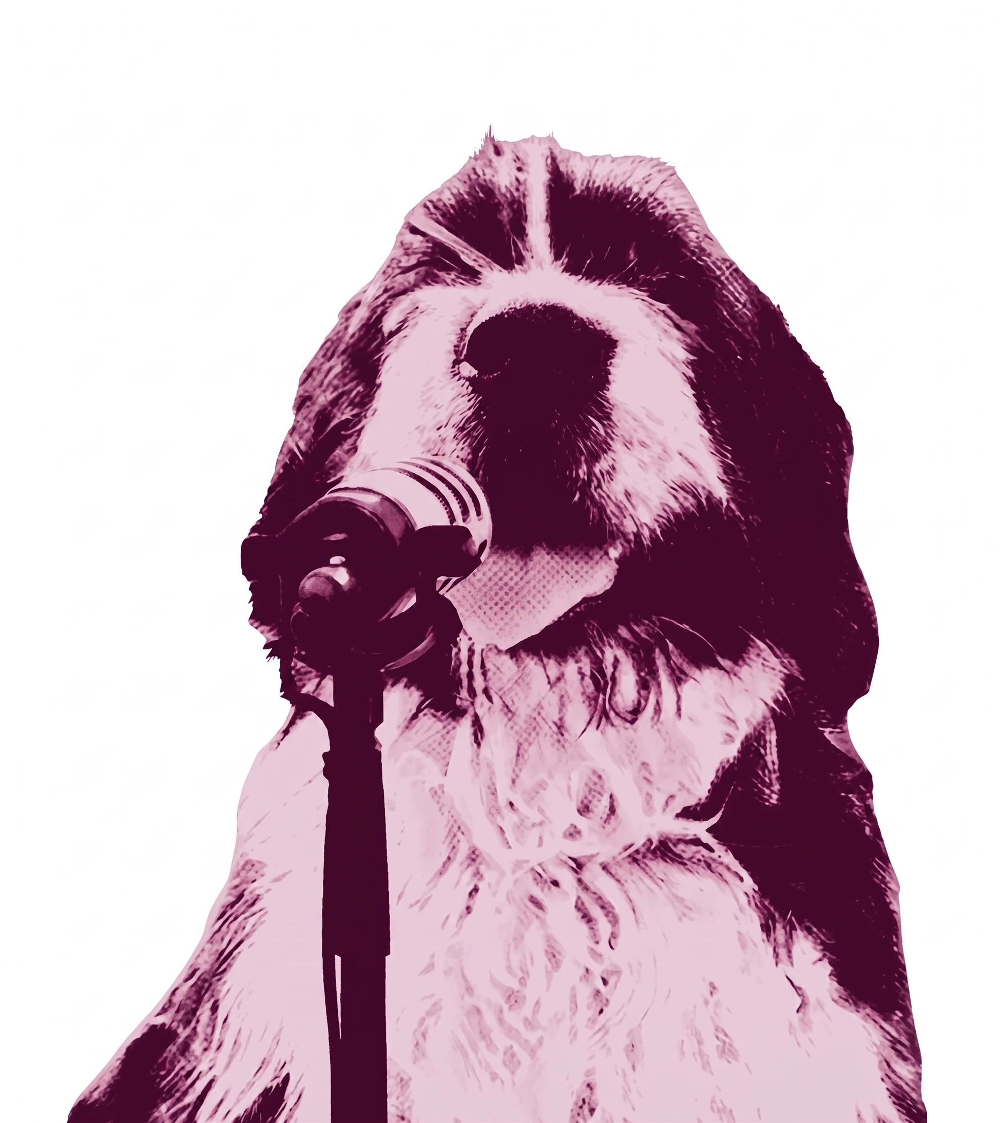Dog in front of a microphone